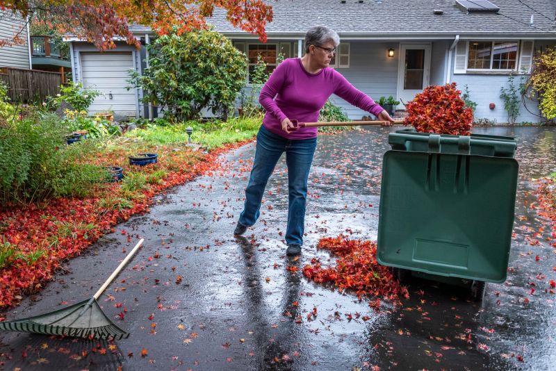 Clean Lawn Before Winter