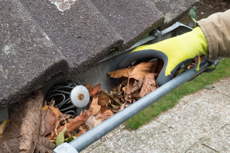Gutter and Drain Clearing
