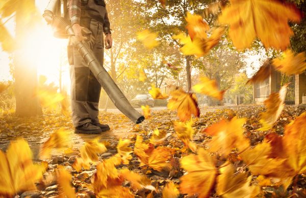 Leaf Blowing Service in Bellingham