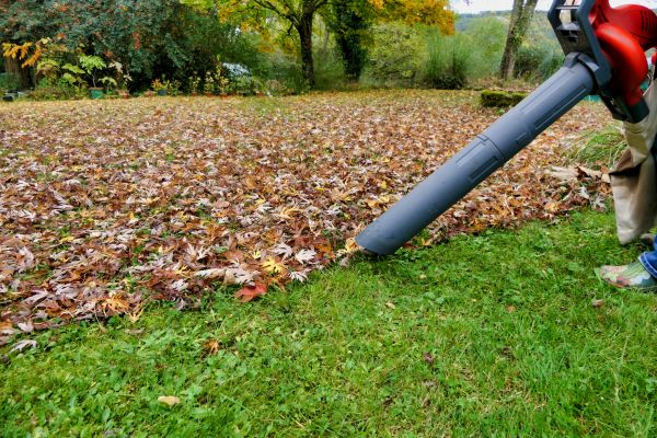 Leaf Vacuuming Service in Bellingham