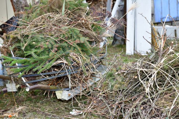 Yard Debris Removal in Bellingham