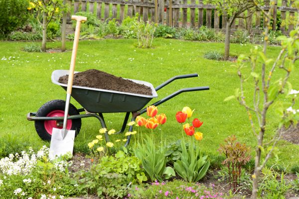 Spring Yard Cleanup in Bellingham