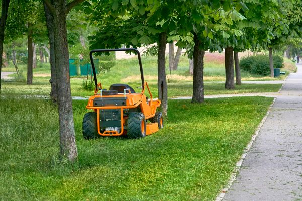 Landscaping Cleanup Service in Bellingham