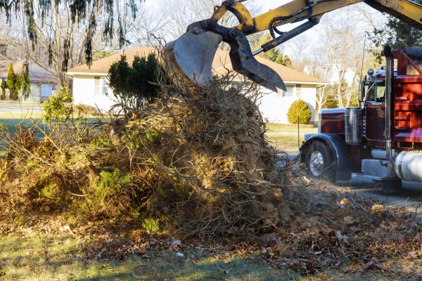 Storm Debris Removal in Bellingham