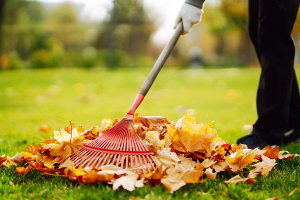 Ditch Leaf Removal in Bellingham