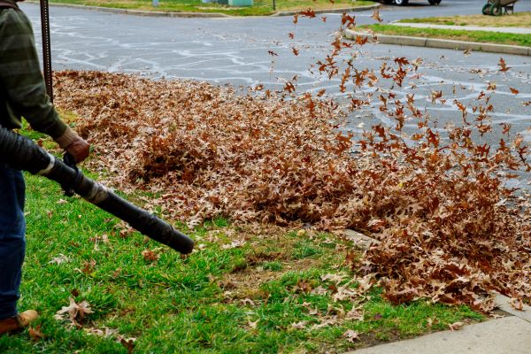 Garden Leaf Removal in Bellingham