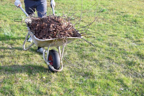 Yard Brush Removal in Bellingham