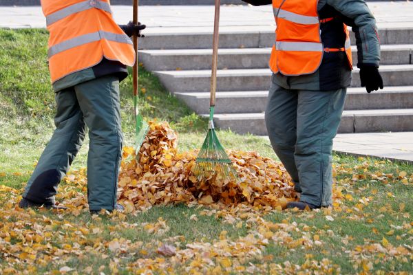 Leaf Hauling Service in Bellingham