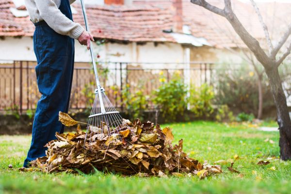 Spring Lawn Cleanup in Bellingham
