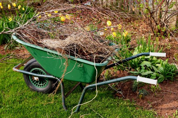 Lawn Waste Removal in Bellingham