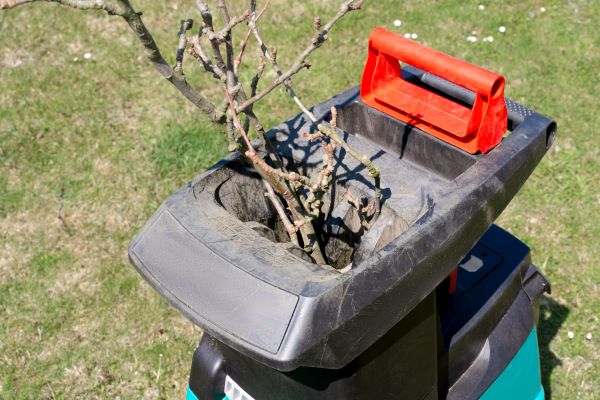 Brush Cleanup Service in Bellingham