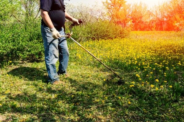 Yard Clearing Service in Bellingham