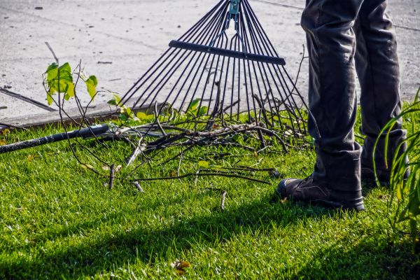 Yard Debris Cleanup in Bellingham