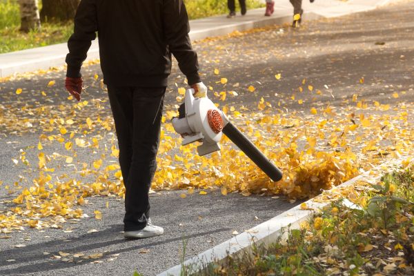 Commercial Leaf Removal in Bellingham